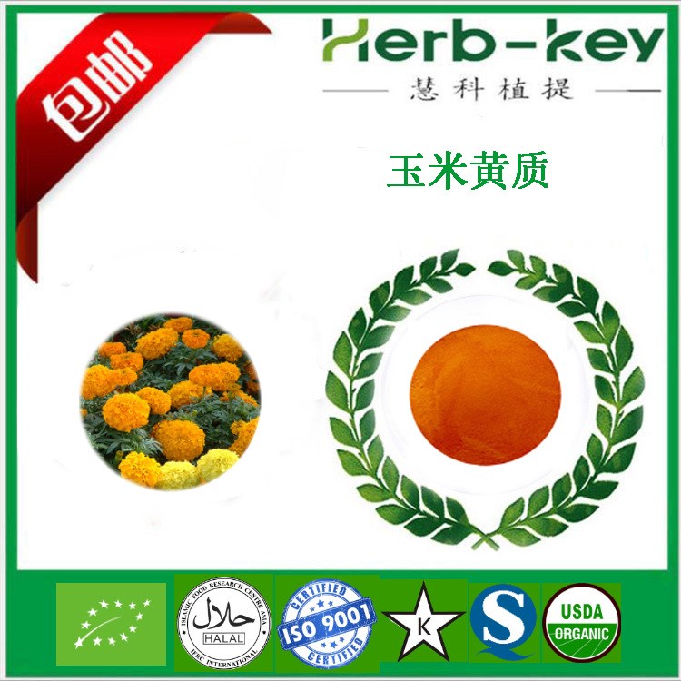 玉米黃質10% 萬壽菊提取物  慧科廠家現貨直銷 二十年提取