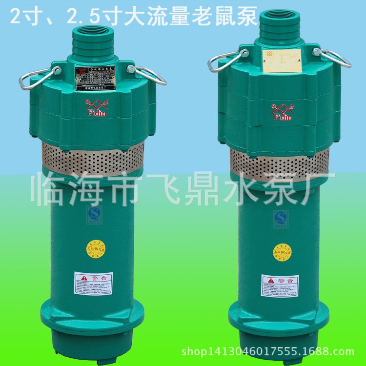 厂家批发 铜线1.8kw2寸微型潜水泵 喷灌设备高压水泵多级离心泵