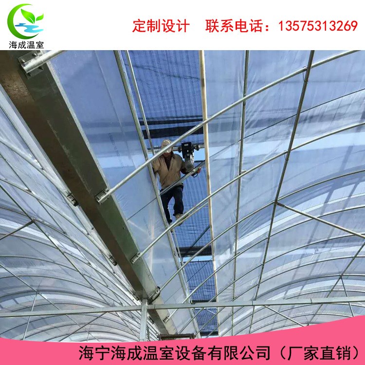供應苗木棚  連棟溫室大棚  桔子棚