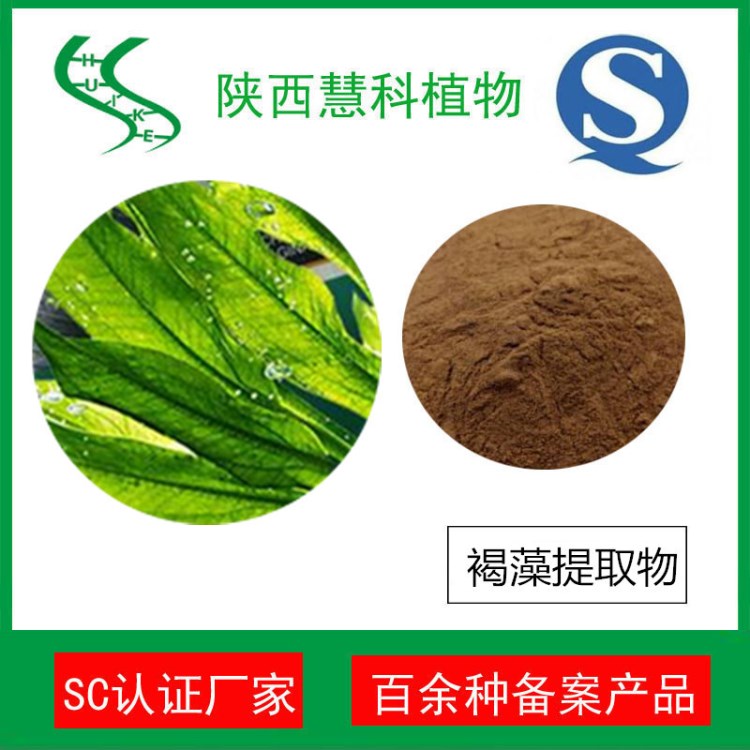 陜西慧科植物 褐藻提取物  褐藻素20% SC實力廠家