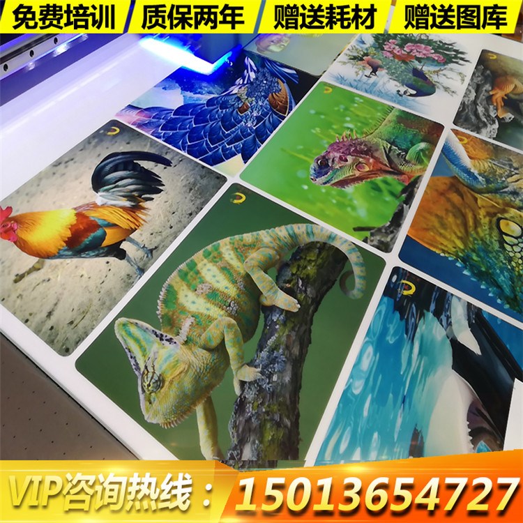 軟性標(biāo)牌不干膠印刷機 背膠UV平板打印機 不干膠貼紙數(shù)碼印花機廠