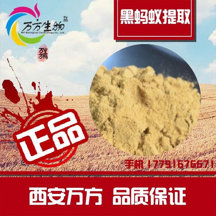 黑螞蟻提取物 50:1黑螞蟻粉 廠家批發(fā)黑螞蟻粉  現(xiàn)貨 黑螞蟻粉