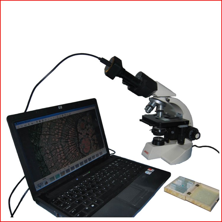 MVV3000CL&mdash;DBM1000 帶測(cè)量功能組合式雙目USB數(shù)碼生物顯微鏡