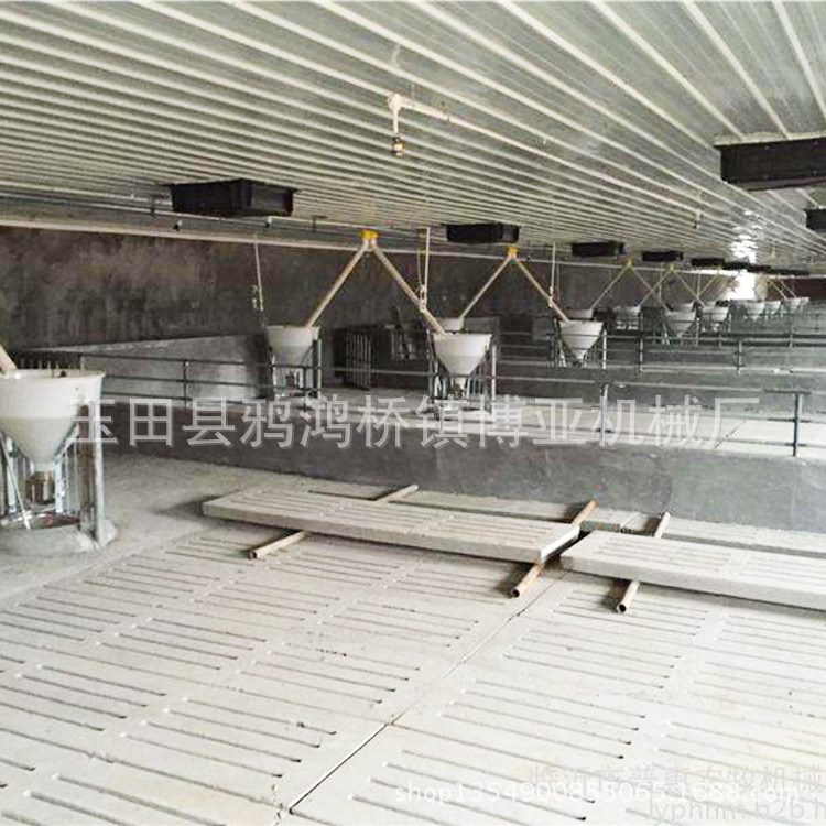 博亞養豬料線 母豬產床，全自動養豬料線，定位欄自動化料線