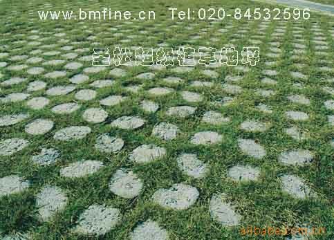 植草地坪,超級植草地坪,高承載透水植草地坪,生態植草地坪