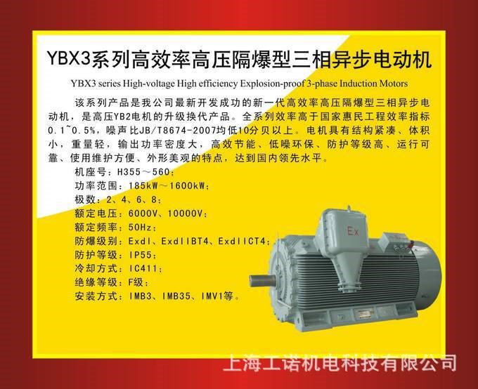 南陽防爆YBX3系列高壓隔爆型異步電動(dòng)機(jī)