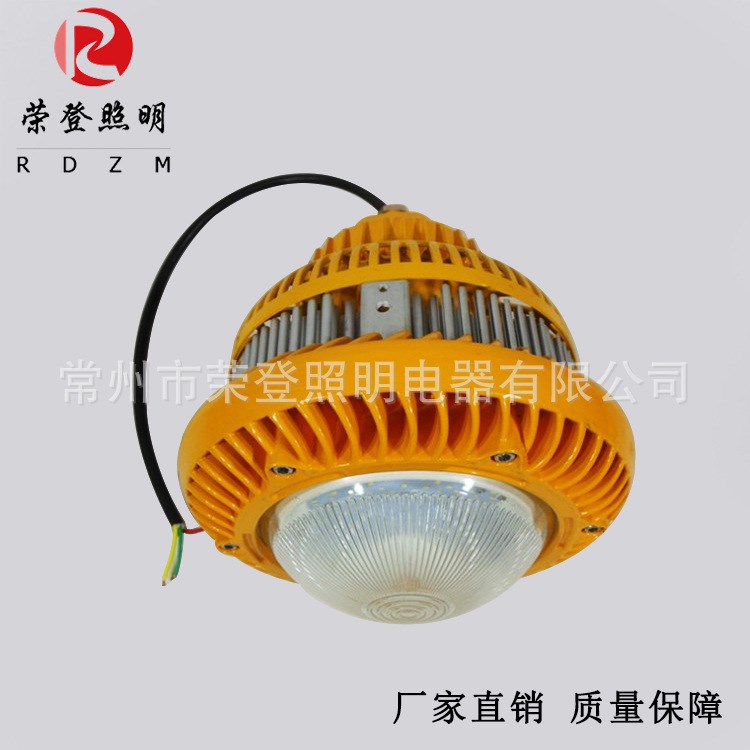 廠家直銷HRD810防爆燈油站LED隔爆燈投光燈圓形防爆泛光燈50w100w