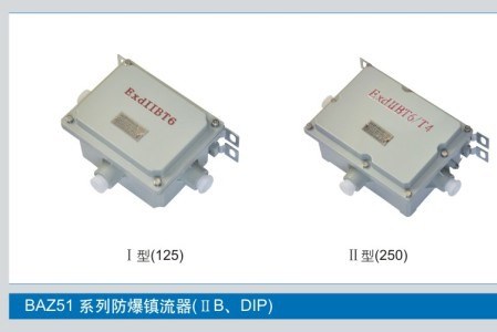 供應(yīng)BAZ-DIP系列粉塵防爆鎮(zhèn)流器