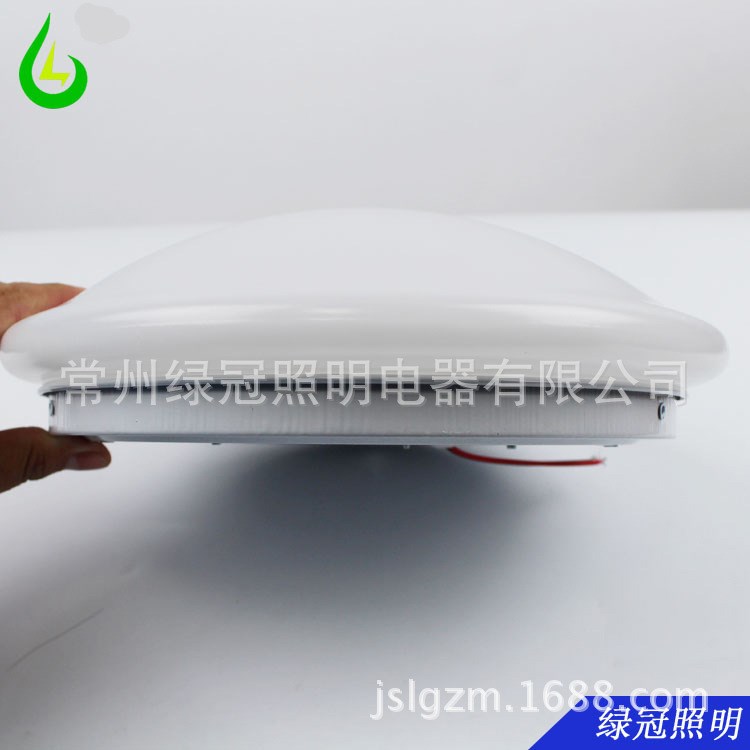 低壓吸頂燈廠批發(fā)12V24V36V船用LED吸頂燈110V 127V 220V吸頂燈