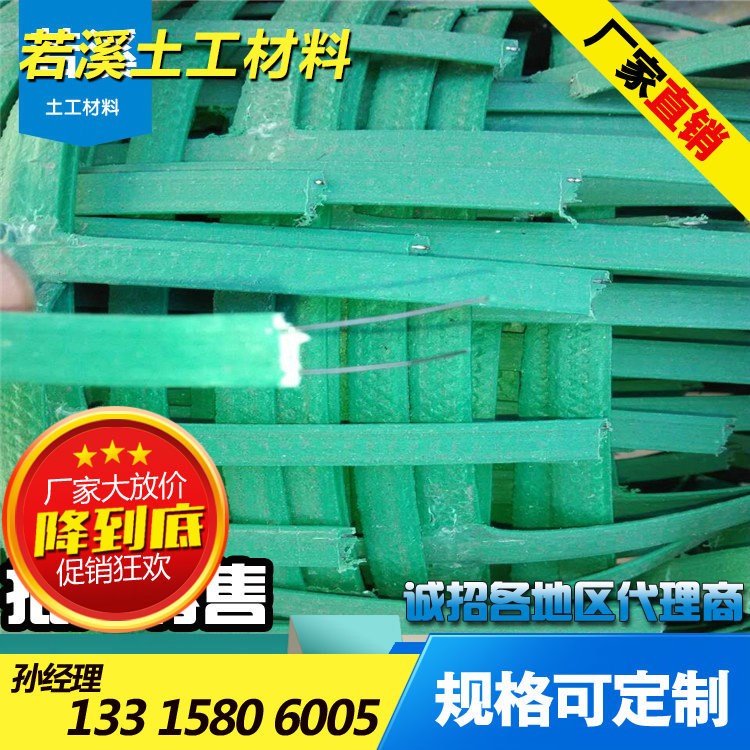 植草網 邊坡綠化植物攀爬鋼塑復合土工格柵網 山體綠化植物網