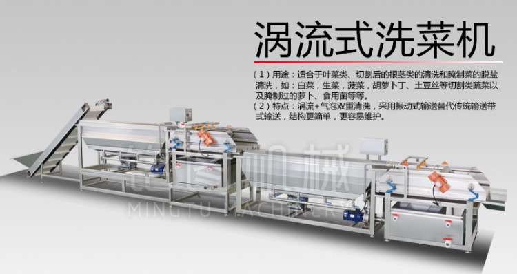 腌漬姜片清洗機 姜絲加工設備 韓國泡菜加工設備 蒜米清洗機