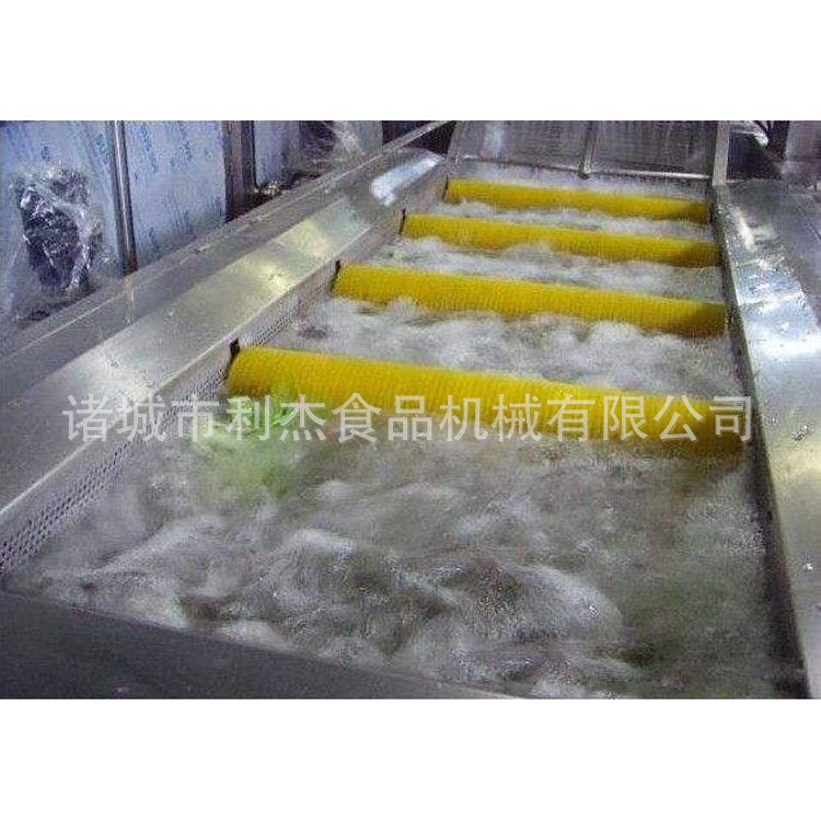 供應 氣泡清洗機/利杰姜片氣泡清洗機/蔬菜氣泡噴淋清洗機
