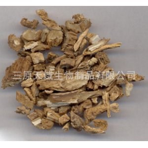大量供應(yīng)桑寄生提取物(圖)