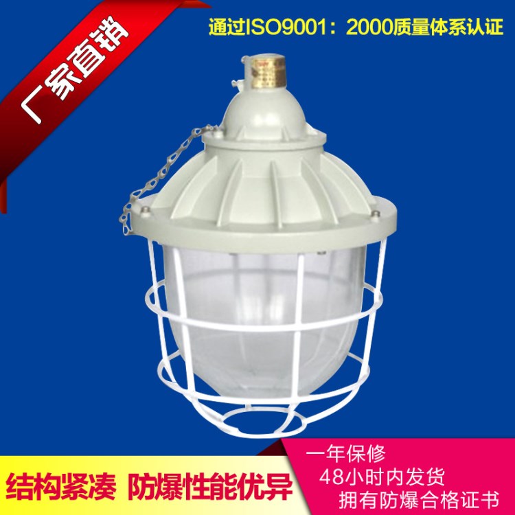 廠家BAD51-200W防爆燈 小型隔爆型防爆燈 200W防爆燈具