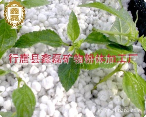 苗木種植基質/洗手粉專用珍珠巖