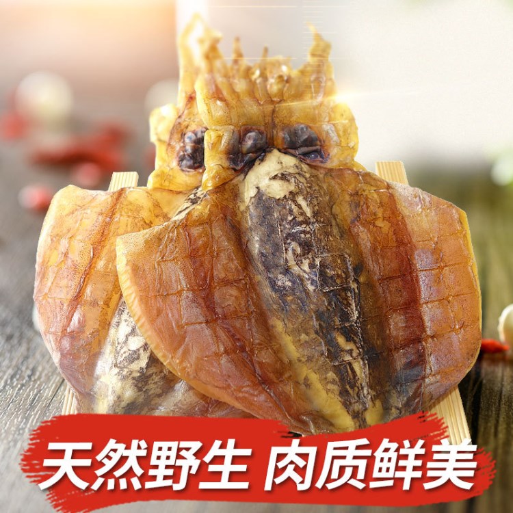 批發(fā)北海墨魚 淡干中號墨魚干 1斤5~8個左右 250g 一件代發(fā)