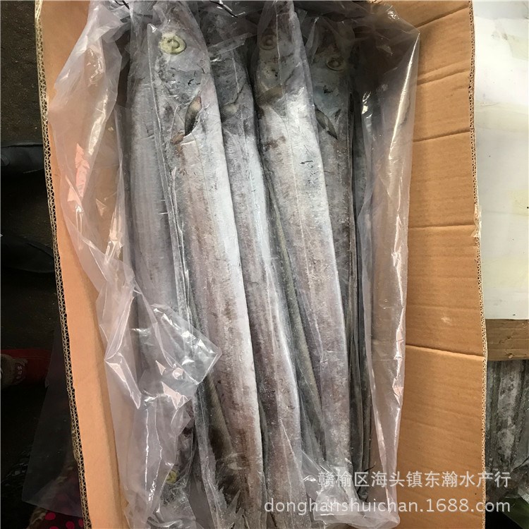 整箱帶魚刀魚整條冷凍新鮮長帶魚批發(fā)帶魚海產(chǎn)品魚類冷凍魚類