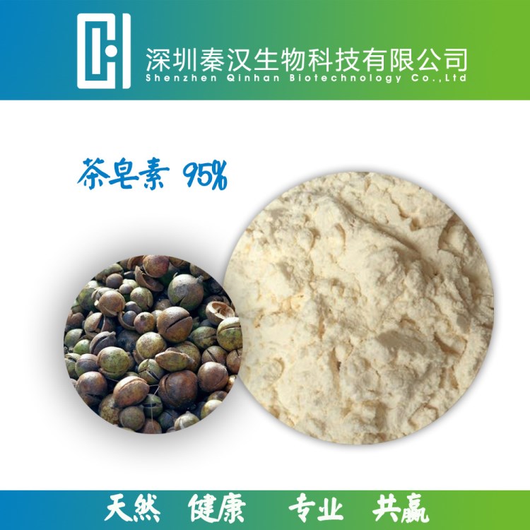 茶皂素 95% 茶樹種子提取物 生產(chǎn)廠家價格 可定制規(guī)格