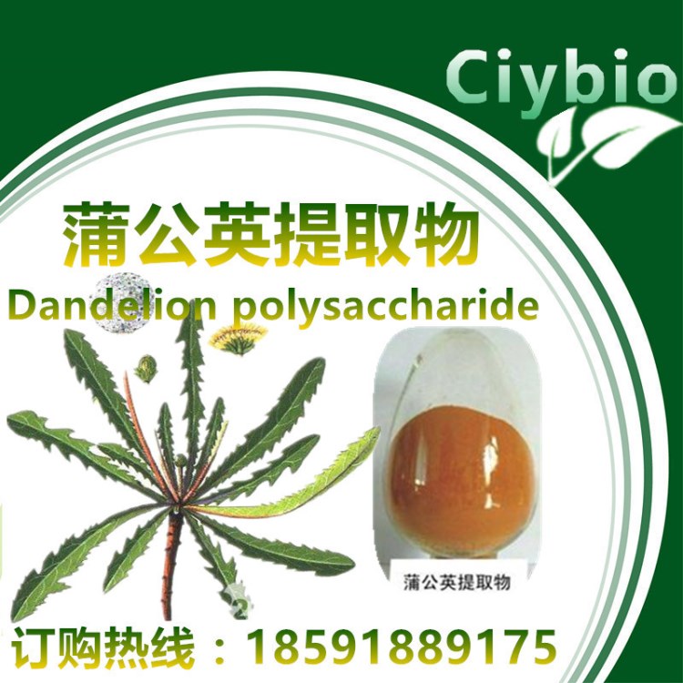 廠家供應(yīng)：蒲公英多糖50%    植物提取物