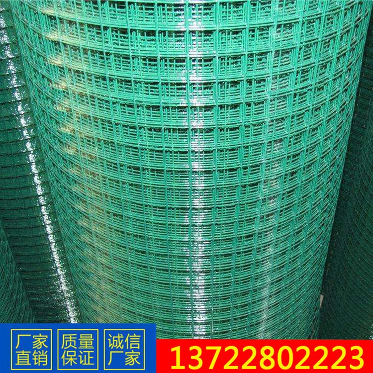 直銷廣州電焊網(wǎng)、重型電焊網(wǎng)、侵塑電焊網(wǎng)