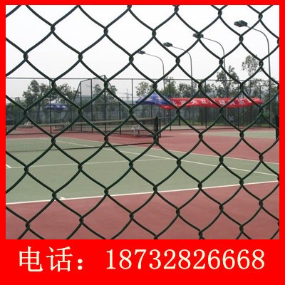 勾花網(wǎng) 活絡(luò)網(wǎng) 環(huán)鏈網(wǎng) 錨網(wǎng) 菱形網(wǎng)體育場圍網(wǎng)生產(chǎn)廠家