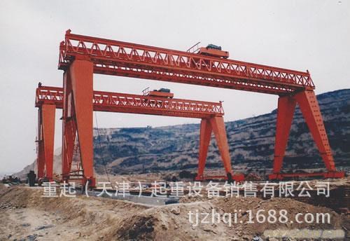 供應(yīng)天津龍門吊廠家 雙梁門式起重機(jī) 起重設(shè)備10噸 花架龍門吊5t