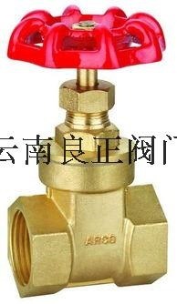 全銅銅閘閥 4分6分1寸1.5寸2寸銅閘閥 自來水管銅閥門 水管開關