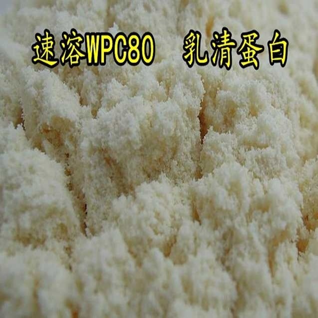 供應(yīng) 速溶乳清蛋白粉WPC80 速溶濃縮乳清蛋白80