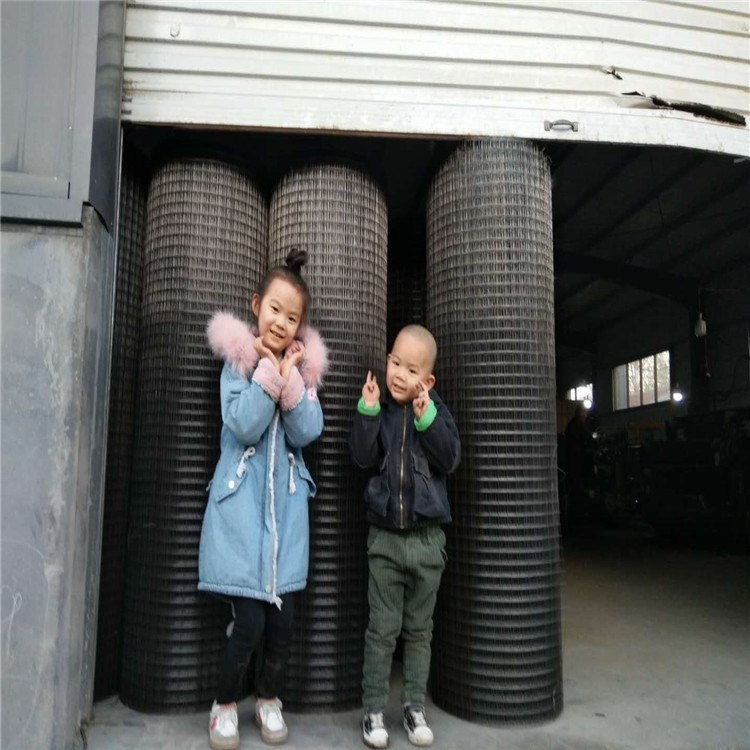 安平3/4電焊網 廠家建筑工地抹墻用網家禽養殖圍欄網 鍍鋅鐵絲網