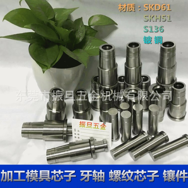 订做精密模具非标准件 SKD61 SKH51 S136镶件镶针 冲针 异形芯子