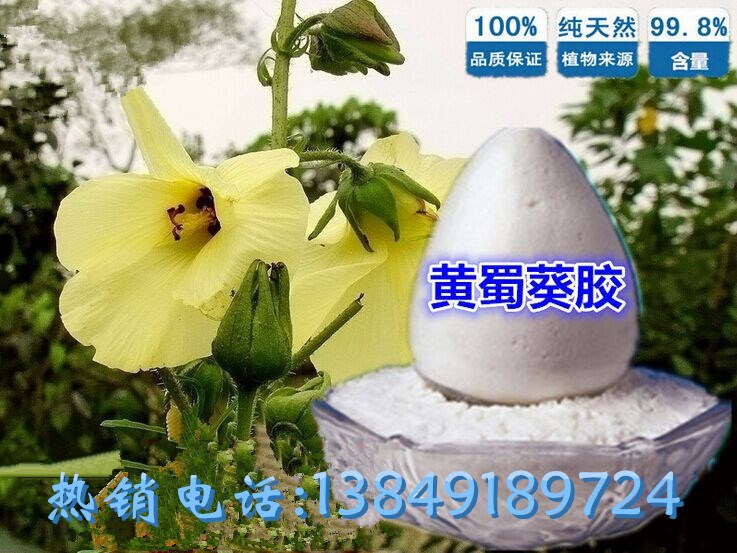 黃蜀葵膠 食用增稠劑.黃蜀葵膠.含量99%.生產廠家供應