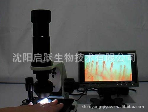高清微循環檢測儀沈陽啟躍