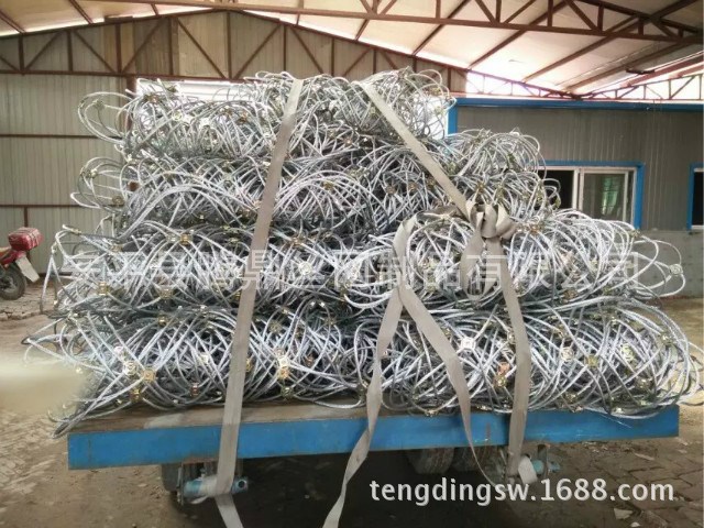 廠家供應(yīng)邊坡防護(hù)網(wǎng)SNS柔性防護(hù)網(wǎng)/主動(dòng)邊坡防護(hù)網(wǎng)/質(zhì)優(yōu)價(jià)廉