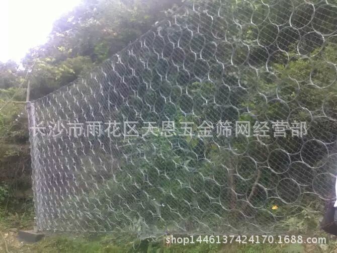 廠家批發(fā) 柔性防護(hù)網(wǎng) 邊坡防護(hù)網(wǎng) 主動(dòng)防護(hù)網(wǎng)