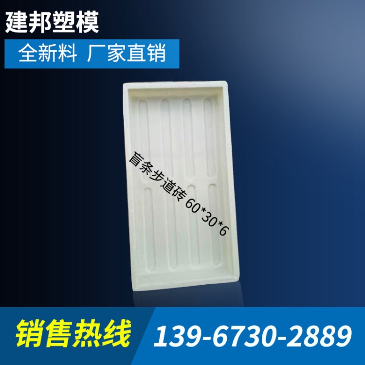 廠家供應 盲條步道磚60*30*6 高速公路市政道路精密塑料模具