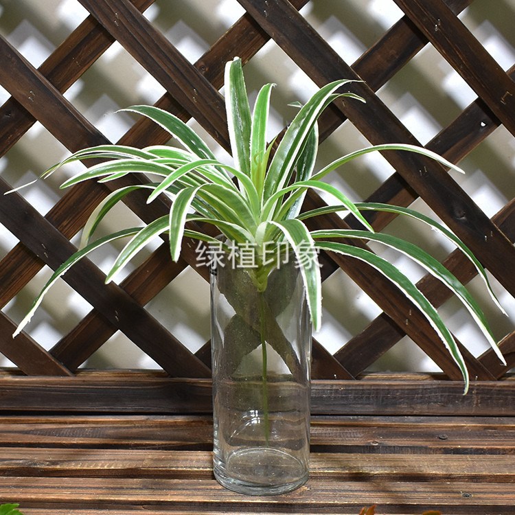 白邊草過膠仿真植物綠吊蘭草綠色植物墻配材仿真花吊蘭草