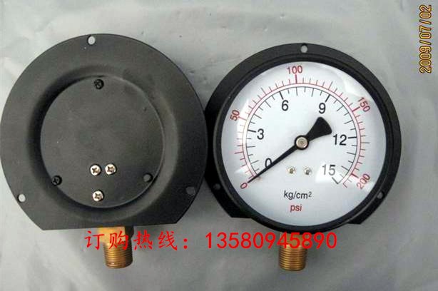 100MM徑向帶后邊0-15KG壓力表\船舶設(shè)備徑向帶后邊壓力表