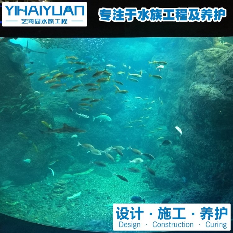 海水魚缸制作|承接海水魚缸工程 魚缸設計 亞克力魚缸