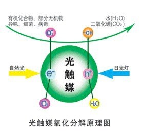 光触媒 锐钛型 纳米氧化钛 高催化效率 度高 纳米二氧化钛