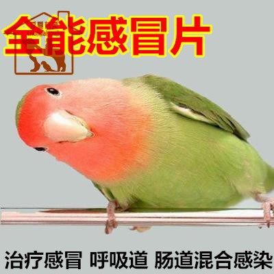 鸚鵡鳥類--混感全能片/感冒 呼吸道 腸道混合感染 0.2元1片