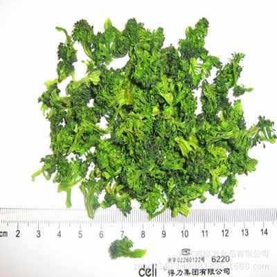 廠家直銷高品質脫水西蘭花  西蘭花粒 規格