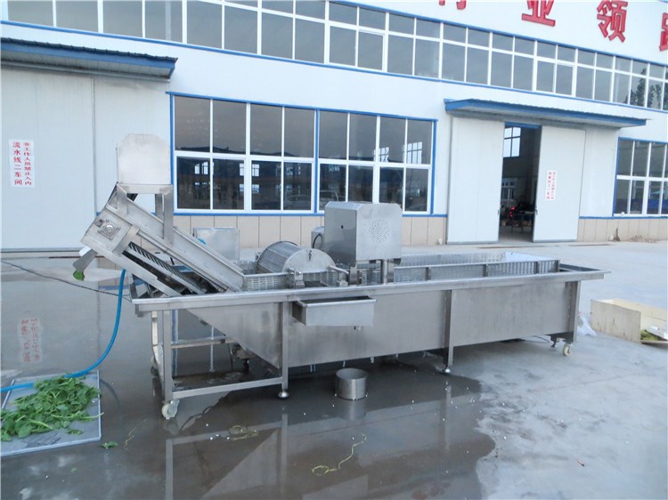 生產提供 豆芽清洗機 蘑菇清洗機 氣泡清洗機 果蔬凈菜機