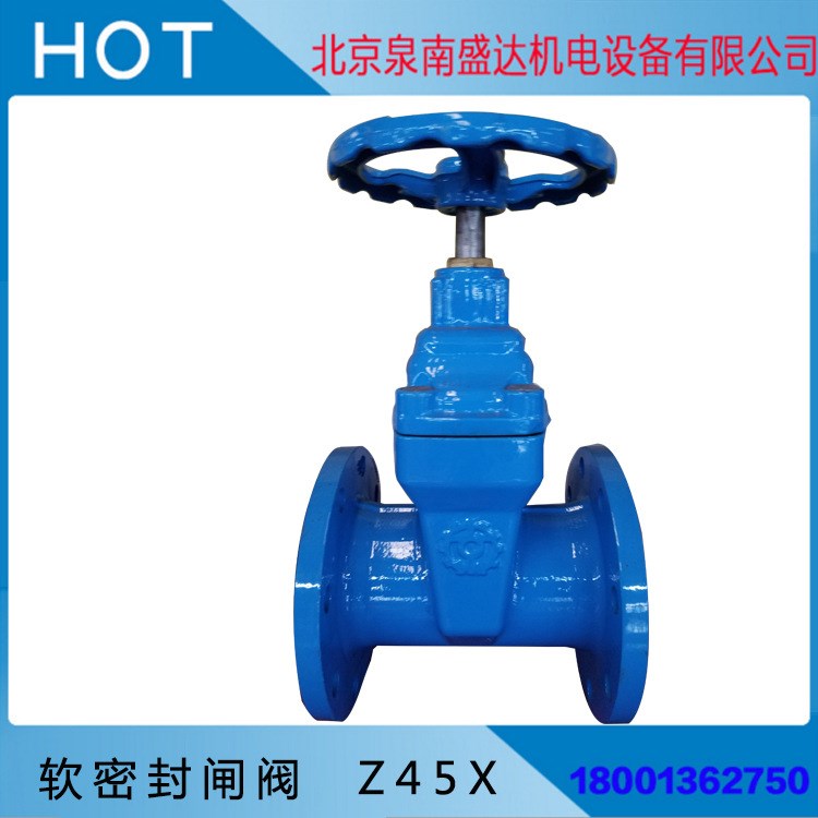 泉南盛達(dá) 廠家制造 環(huán)保 軟密封閘閥  Z45X 批發(fā)定制