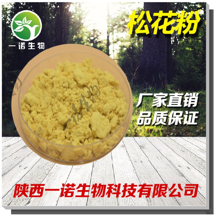 松花粉 廠家直銷 植物萃取 質量松花粉提取物 包郵