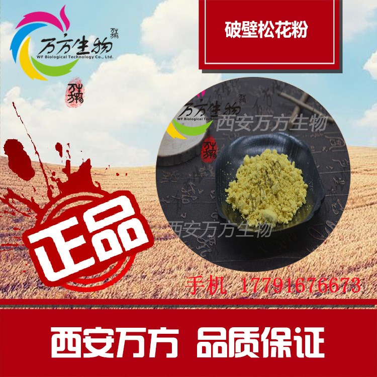 破壁松花粉 98%  高原天然馬尾松 天然原料萃取 廠家現(xiàn)貨直銷