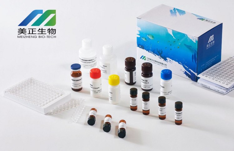 呋喃妥因代謝物（AHD）ELISA檢測試劑盒，酶聯(lián)免疫產(chǎn)品