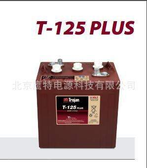 美國trojan原裝電瓶T-125 邱健 掃地機電瓶