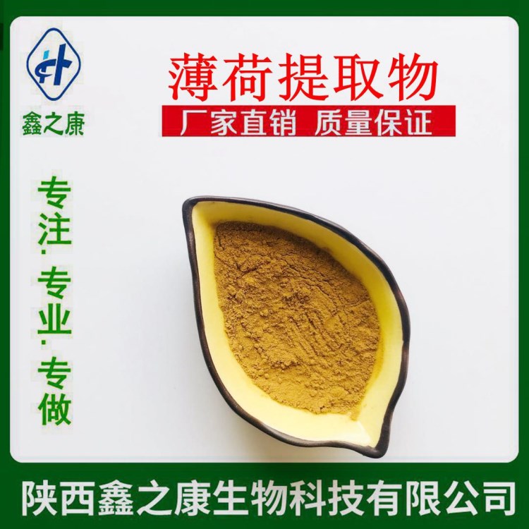 薄荷提取物 10:1  廠家現(xiàn)貨直銷  天然貓薄荷粉 1kg起訂包郵