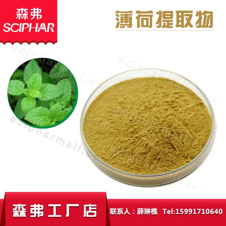 薄荷提取物10:1森弗厂家供应药食同源产品现货含运费薄荷叶提取物