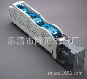 隆頂電氣 熔斷器式條型隔離開關(guān)HG2B